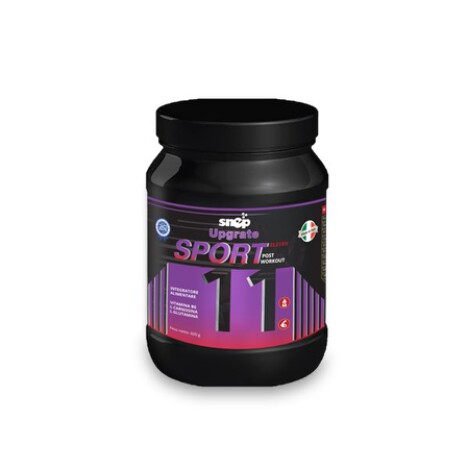 SNEP UPGRATE SPORT